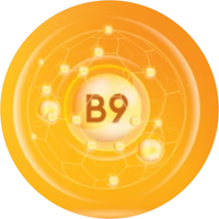 Vitamin B9 (Folic Acid)