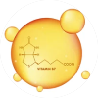 Vitamin B7 (Biotin)