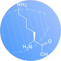 L-Lysine