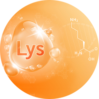 L-Lysine