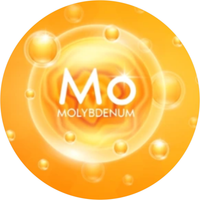 Myo-Inositol