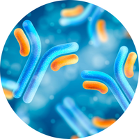 Lutein