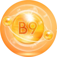 Folic Acid (Vitamin B9)