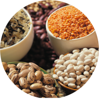 Vitamin B3 (Niacin)