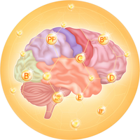 Vitamin B6