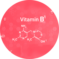 Vitamin B1 (Thiamine)