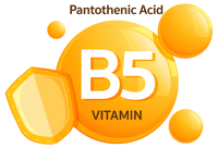 Vitamin B5 (Pantothenic Acid)