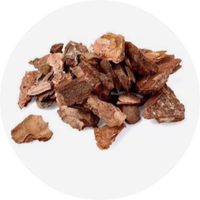 Pine Bark Extract
