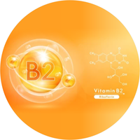 Vitamin B2 (Riboflavin)