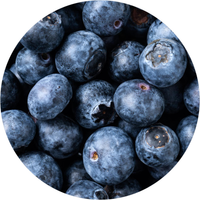 Bilberry Extract
