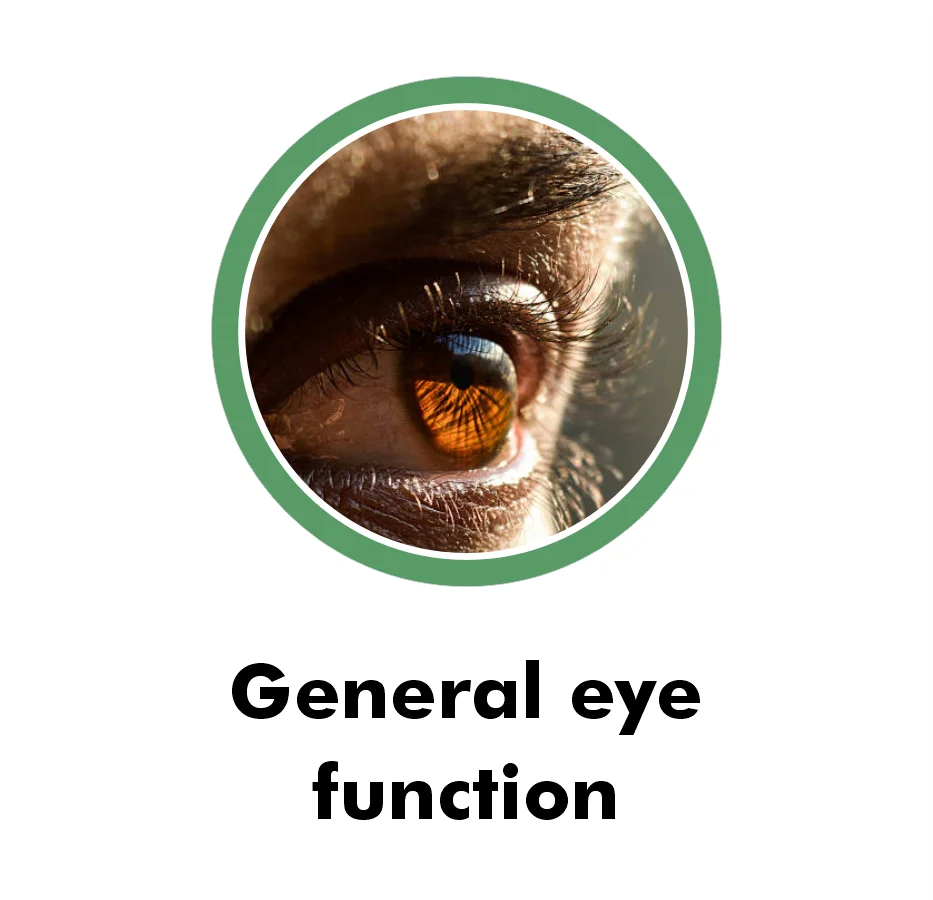 Custom Image