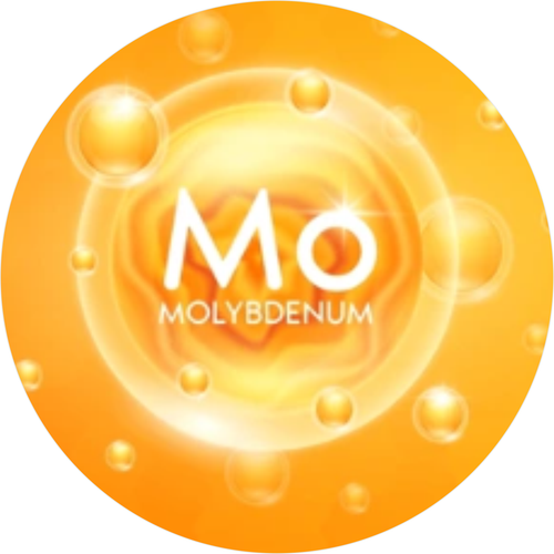 Myo-Inositol