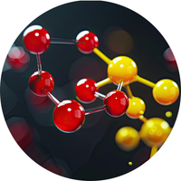 L-Carnitine