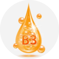 Vitamin B3 (Niacin)