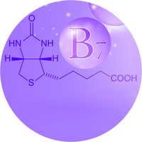 Vitamin B7 (Biotin)