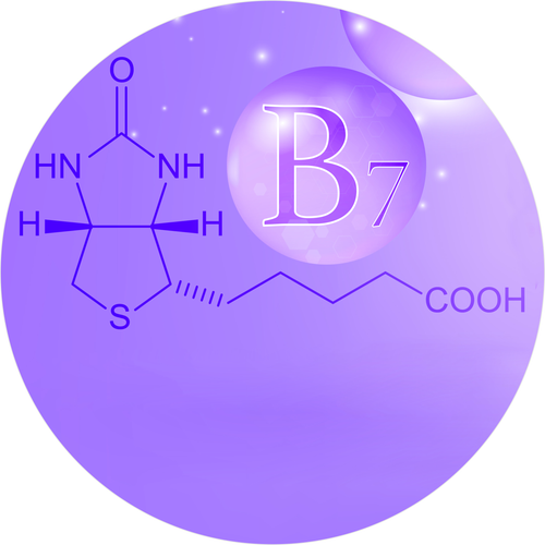 Vitamin B7 (Biotin)