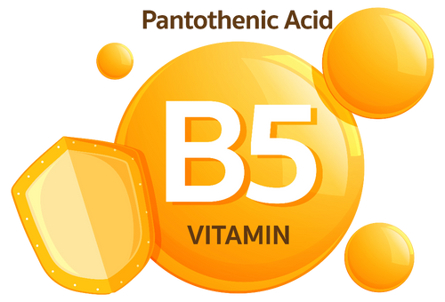 Vitamin B5 (Pantothenic Acid)