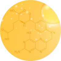 Vitamin B9 (Folic Acid)