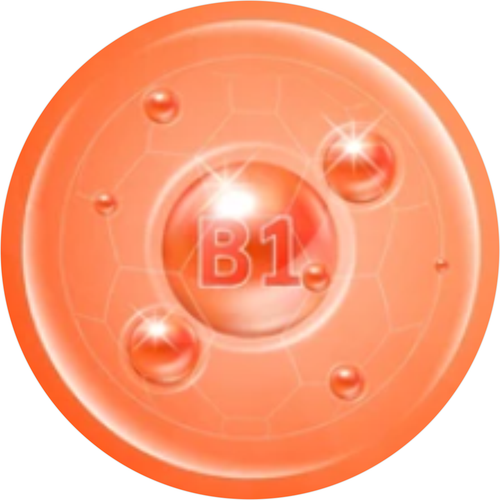 Vitamin B1 (Thiamine)