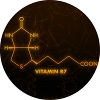 Vitamin B7 (Biotin)