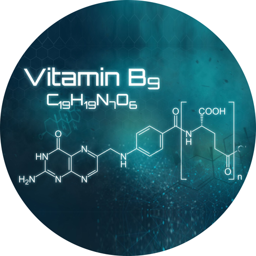 Vitamin B9 (Folic Acid)
