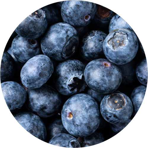 Bilberry Extract