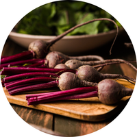 Beet Root Extract