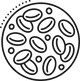 Maintains Healthy Haemoglobin  